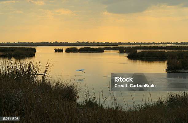 Marsh Atardecer De Foto de stock y más banco de imágenes de Luisiana - Luisiana, Litoral, Pantano - Zona húmeda