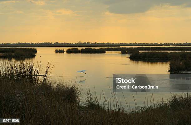 マーシュの夕日 - ルイジアナ州のストックフォトや画像を多数ご用意 - ルイジアナ州, 海岸線, 低湿地
