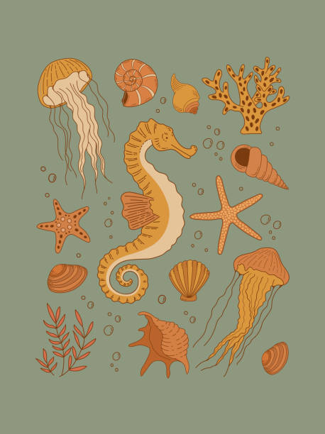illustrazioni stock, clip art, cartoni animati e icone di tendenza di illustrazione vettoriale della vita marina vintage - water plant coral sea jellyfish