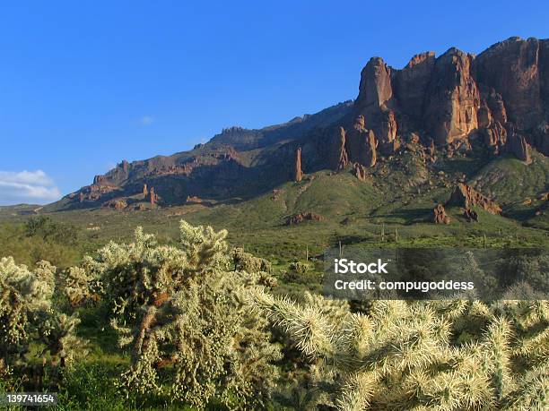 Cholla W Superstitions - zdjęcia stockowe i więcej obrazów Bez ludzi - Bez ludzi, Fotografika, Góra