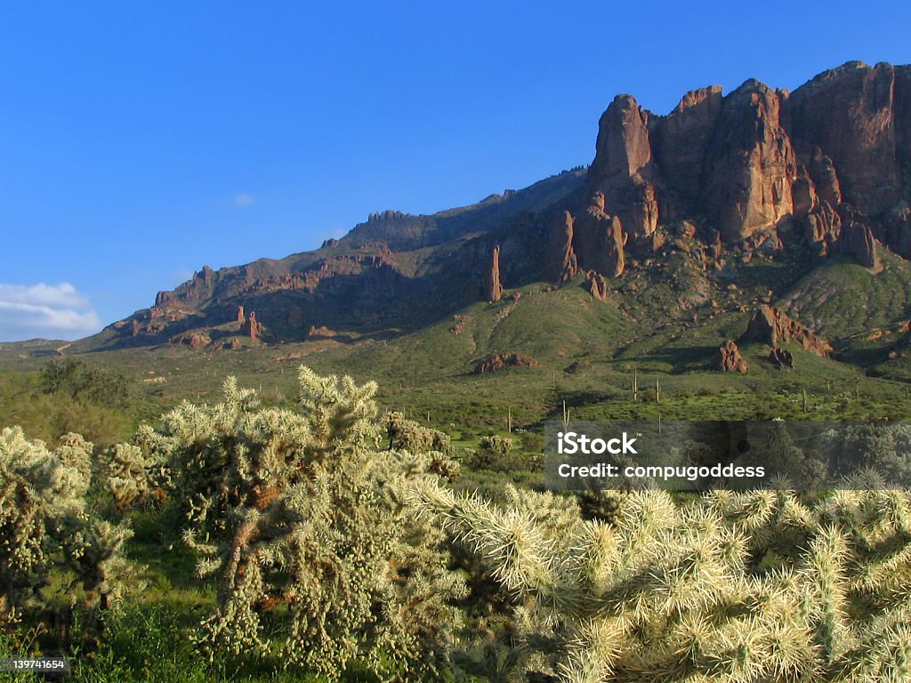 В Superstitions «Cholla» - Стоковые фото Cholla Cactus роялти-фри