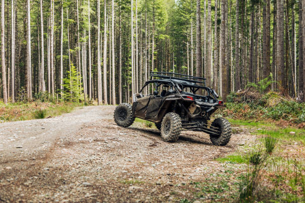 utv ou côte à côte dans les bois - côte à côte photos et images de collection