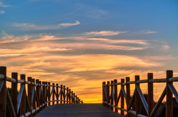 istock Weathered lumber path leading to calm sea during beautiful sunset 1397418710