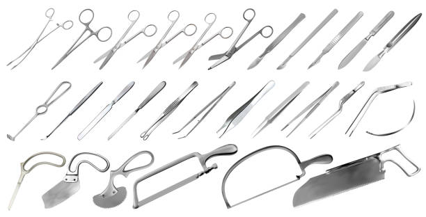 Surgical instruments set. Tweezers, scalpels, plaster and bone saws, amputation and plaster knives, Microsurgical forceps and clamps, hook, needle. Large collection of hand metal tools. Vector illustration Surgical instruments set. Tweezers, scalpels, plaster and bone saws, amputation and plaster knives, Microsurgical forceps and clamps, hook, needle. Large collection of hand metal tools. Vector illustrations forceps stock illustrations