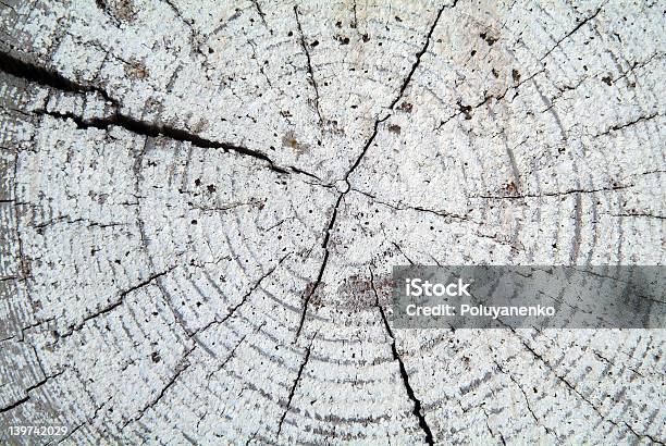 Wood Texture Stock Photo - Download Image Now - Abstract, Backgrounds, Circle