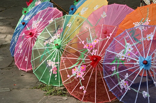 graceful chinese lantern