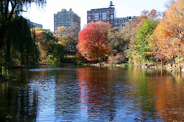 autumn in central park, new york stock photo