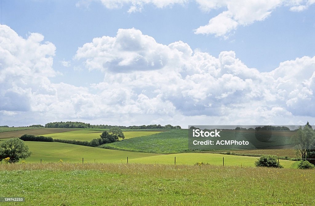 Campo de Primavera tranquila belga - Foto de stock de Agosto royalty-free