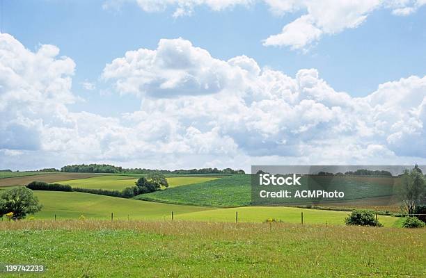 Foto de Campo De Primavera Tranquila Belga e mais fotos de stock de Agosto - Agosto, Agricultura, Azul