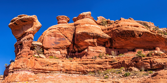 A panoramic shot of the Moon House Cliff Dwellings seen from below on Cedar Mesa in Bears Ears National Monument, Utah.
