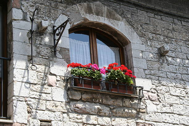 fenêtre avec fleurs - rose window assisi wall umbria photos et images de collection