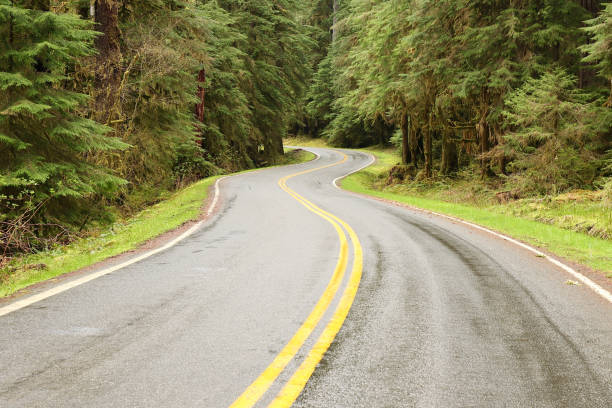 istock Winding Road In The Olympic National Park 1397427057