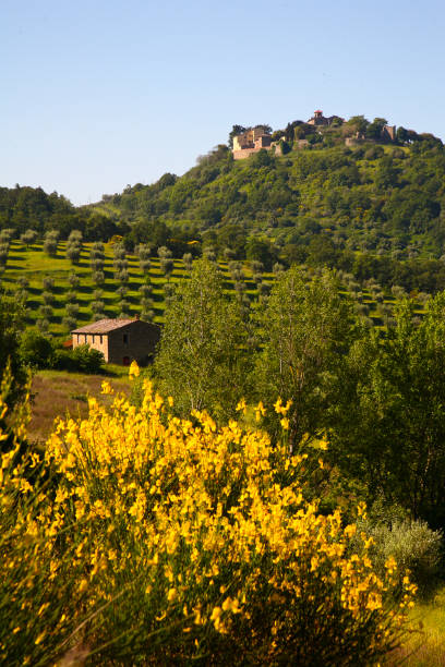 villages of the hills of Lake Trasimeno,Umbria Italy stock photo
