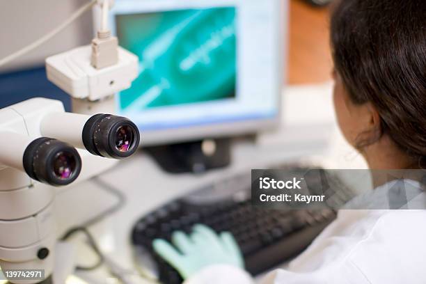 Scientist Computer Microscope Stock Photo - Download Image Now - Focus - Concept, Laboratory, Adult