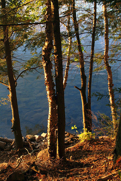 Cтоковое фото Осенняя сцена