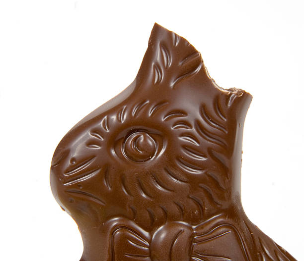 Chocolate easter bunny with bitten ears A chocolate easter bunny with the ears bitten off. chocolate bunny stock pictures, royalty-free photos & images