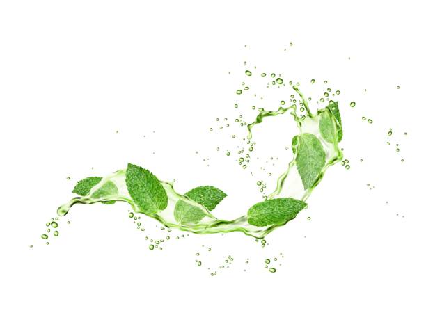 illustrazioni stock, clip art, cartoni animati e icone di tendenza di foglie di menta verde e flusso di spruzzi di onde di tisane - mint peppermint water leaf