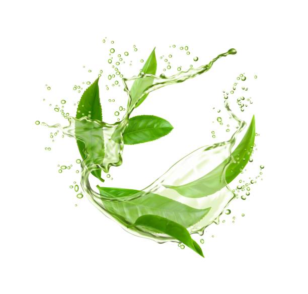 ilustraciones, imágenes clip art, dibujos animados e iconos de stock de salpicaduras de agua verde con hojas de té, bebida a base de hierbas - te verde