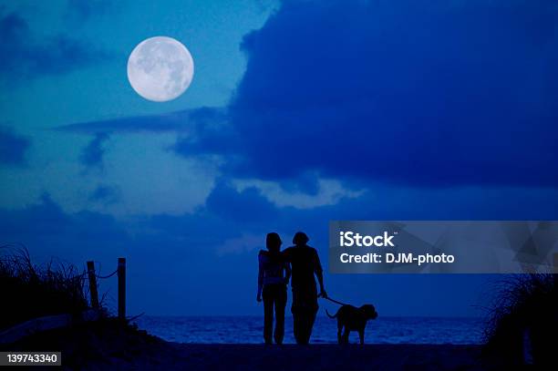 달빛 Walk 걷기에 대한 스톡 사진 및 기타 이미지 - 걷기, 달빛, 밤-하루 시간대