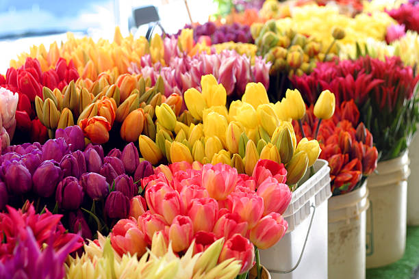istock Various colored bouquets of bridal flowers 139743347