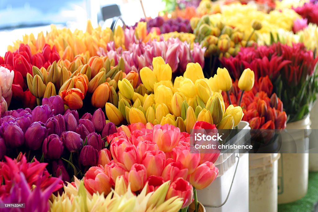 Flores de noiva - Foto de stock de Alegria royalty-free