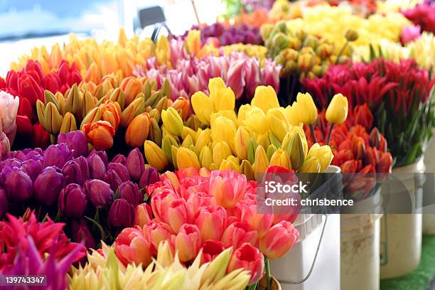 Foto de Flores De Noiva e mais fotos de stock de Alegria - Alegria, Artigo de decoração, Beleza natural - Natureza