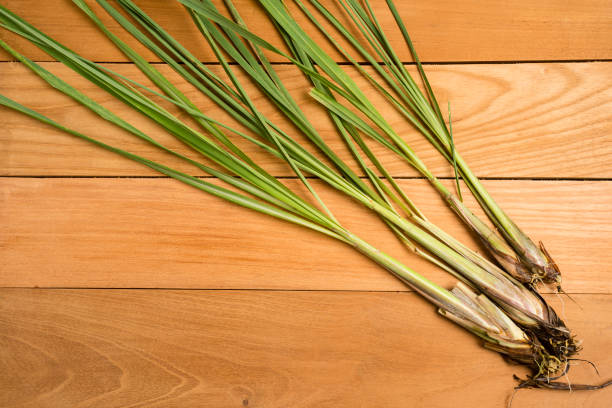 Lemon Grass Isolated on White Background