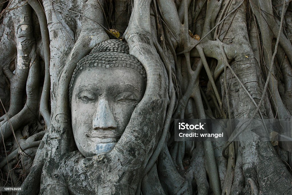 Budda Głowa otoczony przez korzenie - Zbiór zdjęć royalty-free (Antyczny)