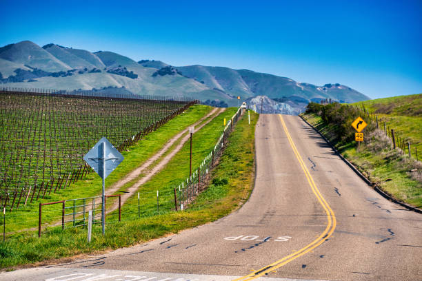 viaggio in auto in paese del vino centrale california - san luis obispo county california hill valley foto e immagini stock