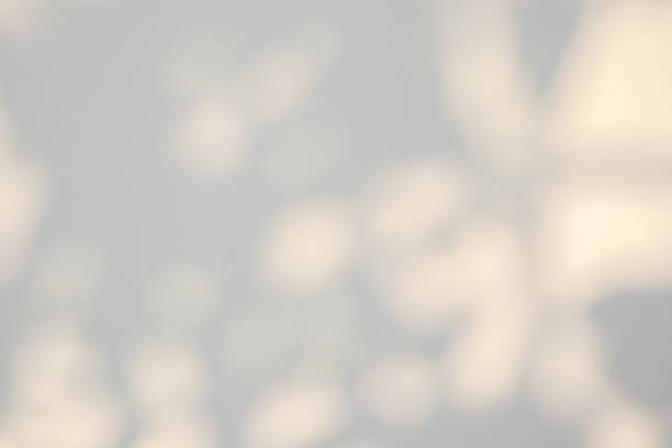 istock Abstract natural tree leaves shadow on white wall background 1397435860