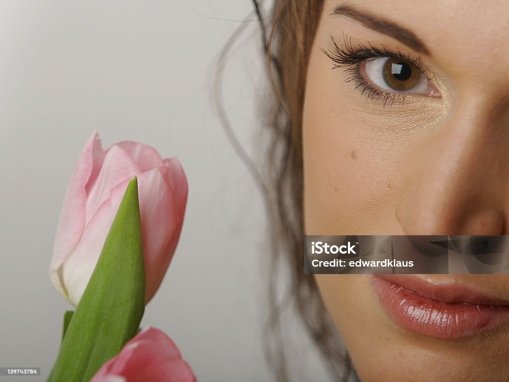 Поля зрения и тюльпан - Стоковые фото Без усилий роялти-фри