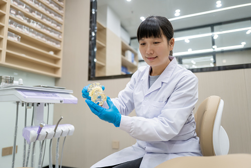 An Asian dentist showed the patient a dental model