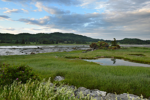 Coastal wetland or marsh at sunset
