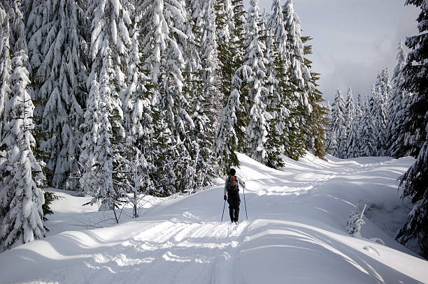 istock Cross country skier 139744038
