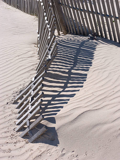 Wooden fence on a beach stock photo