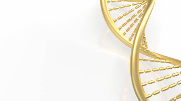 istock The gold dna on white background  for sci or education concept 3d rendering 1397444753