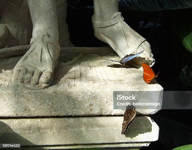 Cosquilleos En Las Patas De Una Escultura Foto de stock y más banco de imágenes de Ala de animal - Ala de animal, Alas desplegadas, Antiguo