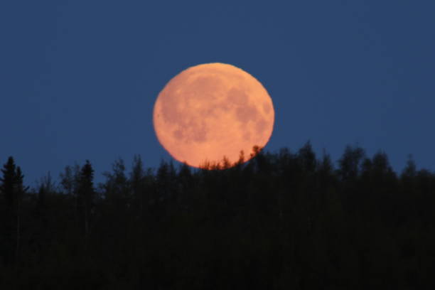 blood moon mai - full moon moon lunar eclipse red stock-fotos und bilder