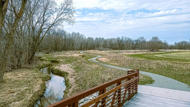 Natural Landscape - Small Creek flowing with a Footpath and Trees in Hamilton, Ontario along the Bruce Trail