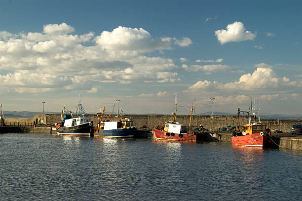 istock Fishing Boats in Harbour 139745125