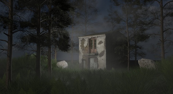 Abandoned house in pine trees forest misty scene 3D rendering wallpaper backgrounds