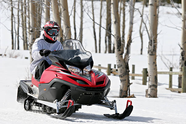istock Solo snowmobile rider passing a stand of birch trees 139745308