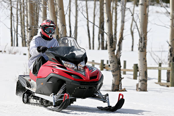 Solo snowmobile rider passing a stand of birch trees stock photo