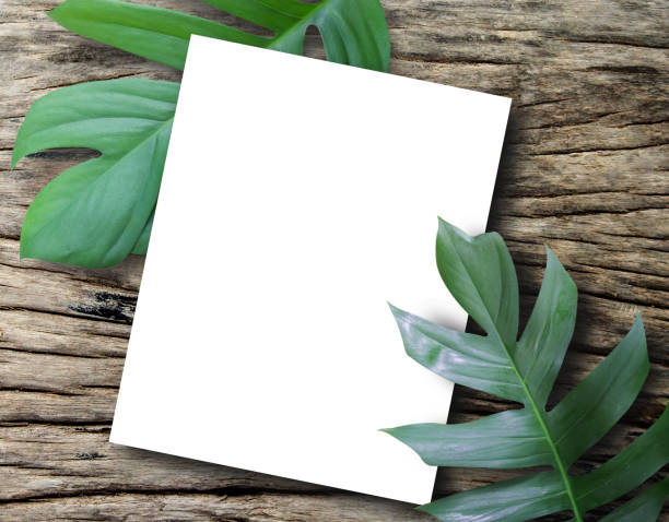 istock Top view with blank paper sheet with fresh spring green leafs border frame on wooden background 1397453959