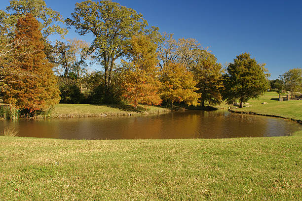 Um passeio no parque - foto de acervo