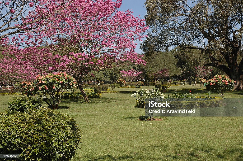 Parco di Cubbon, bangalore - Foto stock royalty-free di Parco pubblico