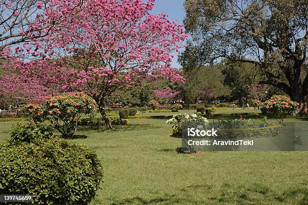 Cubbon Park Bangalore Stock Photo - Download Image Now - Public Park, Bangalore, Flower