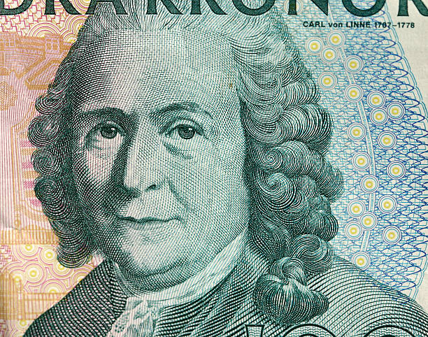 istock money from sweden 139745715