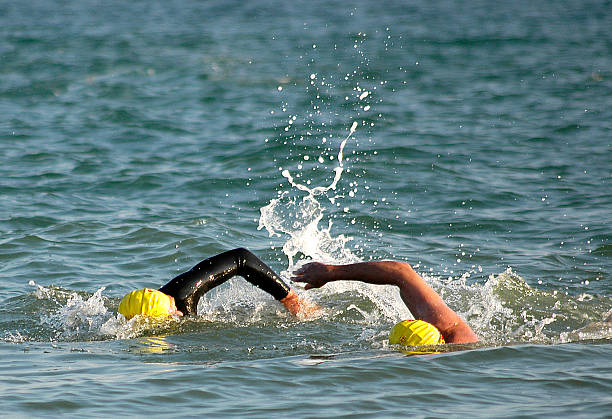 Swimmers ocean swimming triathlon pair duel english channel duathlon biathlon wetsuit neoprene swim cap goggles waves ripples blue aqua neoprene photos stock pictures, royalty-free photos & images