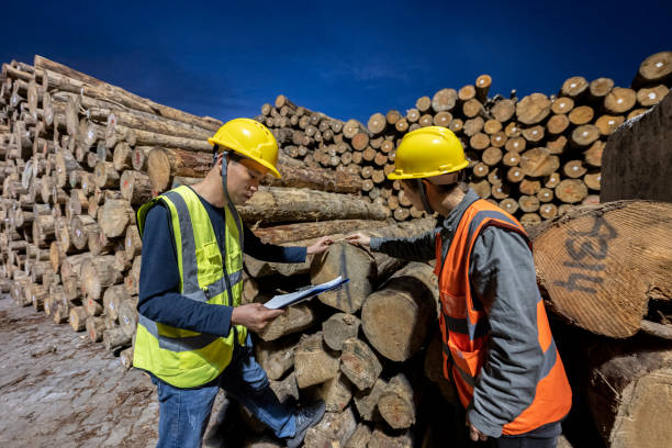 istock Two Longshoremen were working the night shift at the lumber warehouse 1397463071